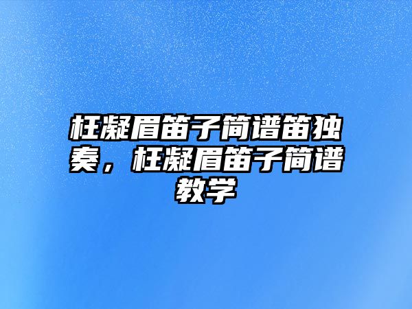 枉凝眉笛子簡譜笛獨奏，枉凝眉笛子簡譜教學