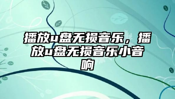 播放u盤無損音樂，播放u盤無損音樂小音響