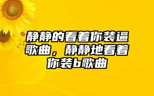 靜靜的看著你裝逼歌曲，靜靜地看著你裝b歌曲