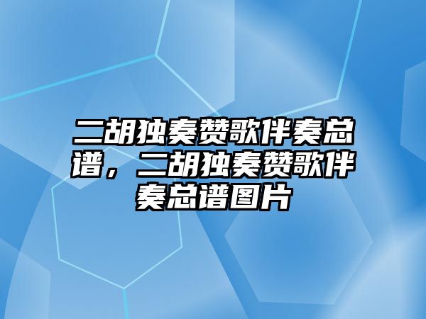 二胡獨奏贊歌伴奏總譜，二胡獨奏贊歌伴奏總譜圖片