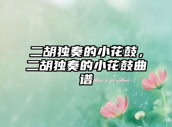 二胡獨奏的小花鼓，二胡獨奏的小花鼓曲譜