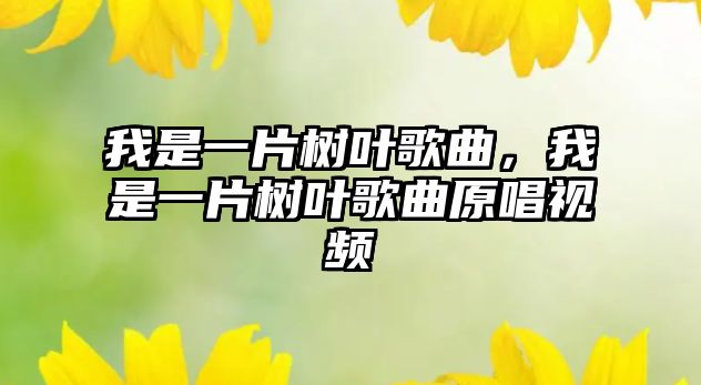 我是一片樹葉歌曲，我是一片樹葉歌曲原唱視頻