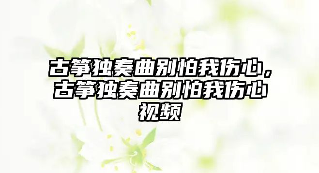 古箏獨奏曲別怕我傷心，古箏獨奏曲別怕我傷心視頻