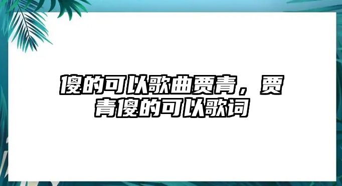 傻的可以歌曲賈青，賈青傻的可以歌詞