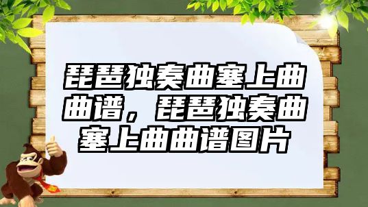 琵琶獨奏曲塞上曲曲譜，琵琶獨奏曲塞上曲曲譜圖片