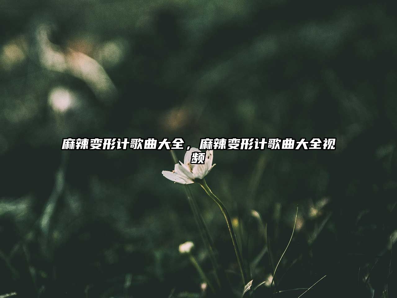 麻辣變形計歌曲大全，麻辣變形計歌曲大全視頻