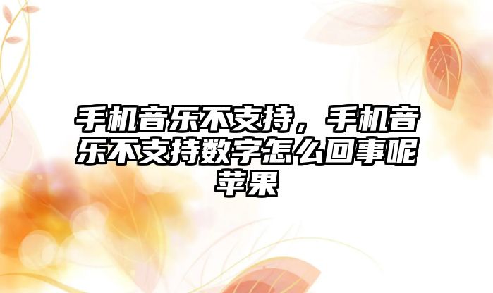 手機(jī)音樂不支持，手機(jī)音樂不支持?jǐn)?shù)字怎么回事呢蘋果