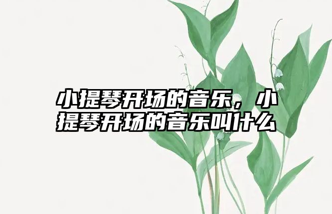 小提琴開場的音樂，小提琴開場的音樂叫什么